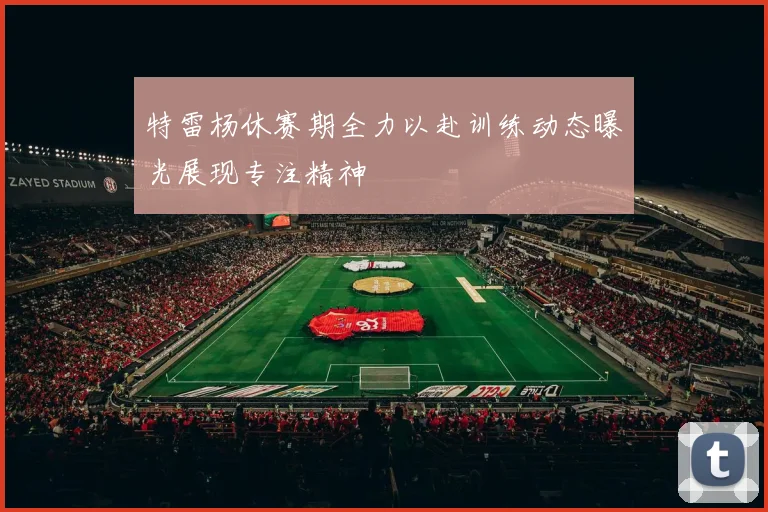 特雷杨休赛期全力以赴训练动态曝光展现专注精神