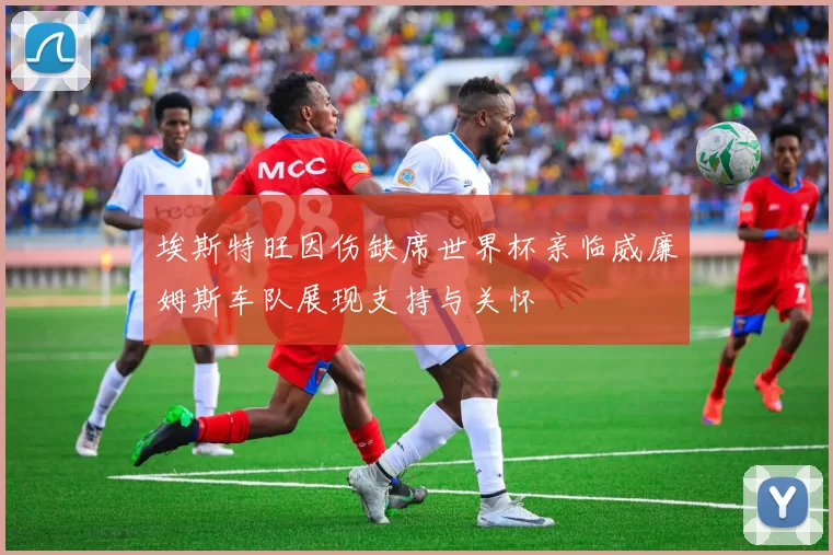 埃斯特旺因伤缺席世界杯亲临威廉姆斯车队展现支持与关怀